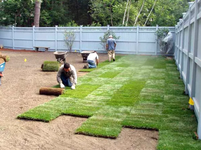 A crew laying rolls of fresh sod in straight, tight rows across a prepared and graded backyard behind a white vinyl fence.