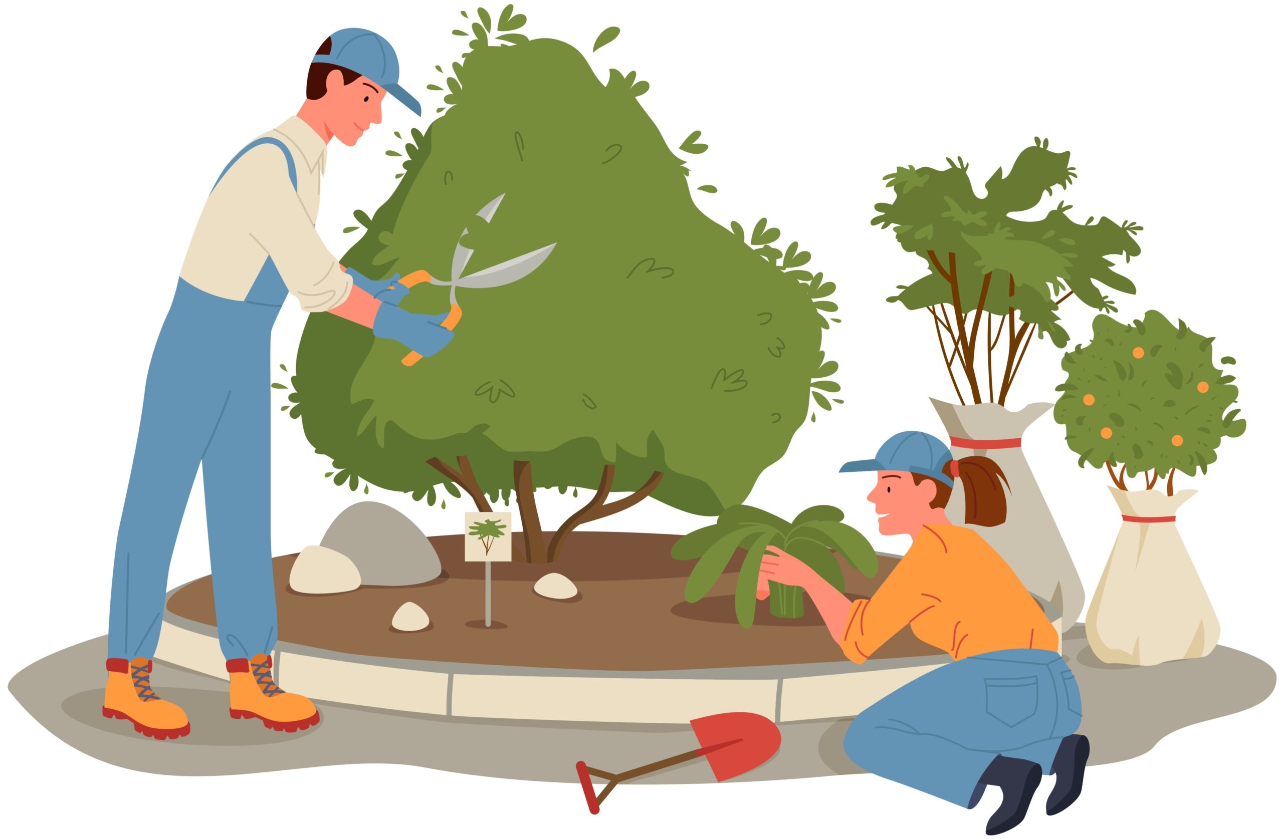 Cartoon young man woman gardener characters working and gardening, holding garden tools scissors shovel, tree sapling background. People work in summer forest or park, grow plants vector illustration.